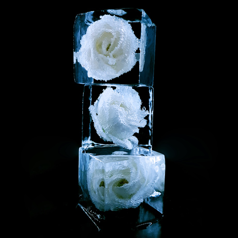 Ледяной куб с цветком (King Cube Flow)